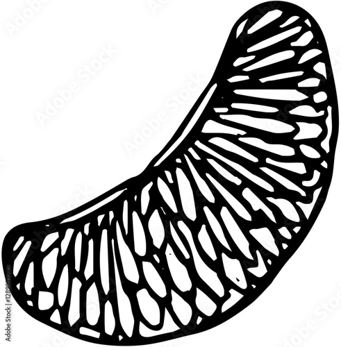 Fruit. Hand drawn vector isolated engraved sketch. Mandarin 