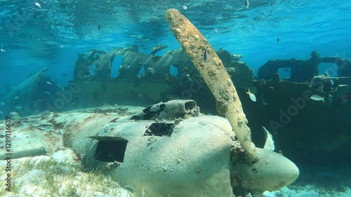 L'épave d'un avion dans la mer à Norman's cay aux Bahamas.