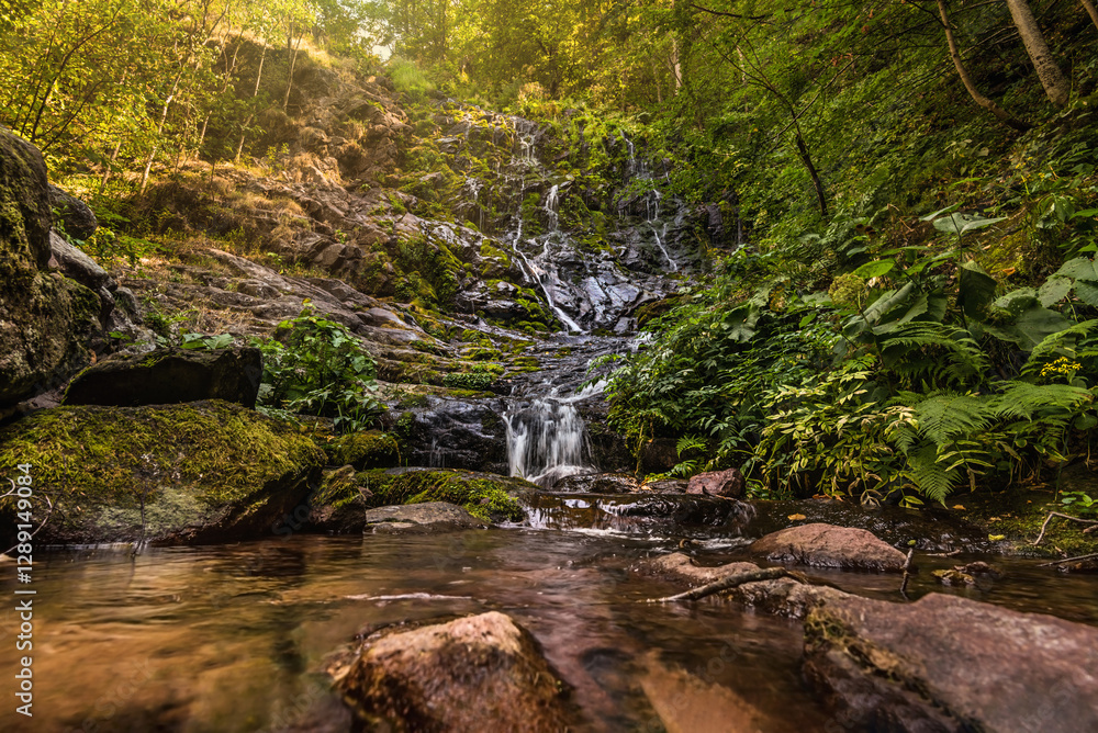Pilj Waterfall Cascading through Lush Green Forest