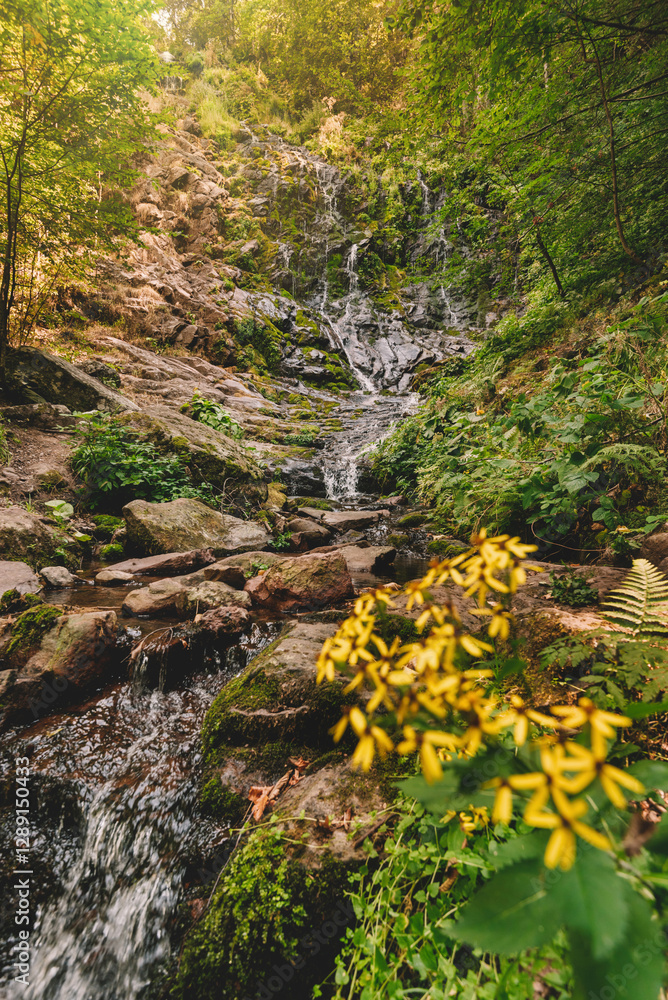 Pilj Cascade Waterfall in Lush Green Setting