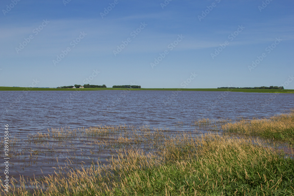 flooded farm field