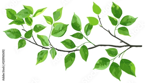Vector Glossy Green Leaves on Branch, Fresh, Botanical, Nature, Eco, Spring, Realistic, Elegant, Isolated, Lush, Vibrant, Foliage, Plant, Decorative, Organic