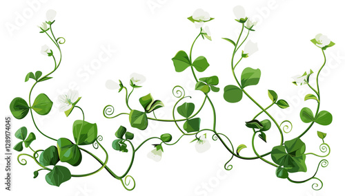 Wallpaper Mural Vector White Flowers with Curled Green Stems, Floral Design, Spring Blossoms, Nature Illustration, Botanical Art, Isolated Clipart, Elegant Plant, Decorative Leaves Torontodigital.ca
