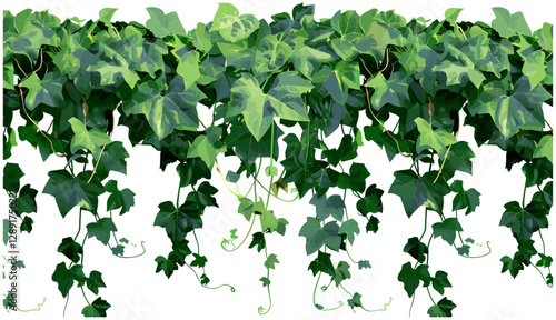 Dense green ivy climbing, vector lush verdant foliage and vines, botanical frame or border, natural background, ornamental greenery, fresh leaves, jungle plants
