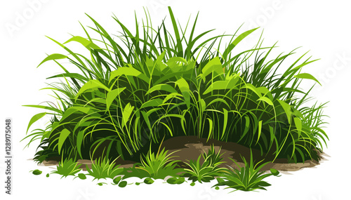 Dense Green Ornamental Grass Mound, lush greenery, natural landscape, garden plants, ornamental grass, outdoor foliage, vibrant green, landscaping, backyard garden