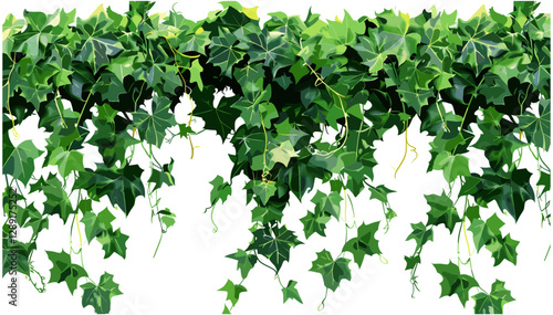 Vector lush green ivy climbing, dense verdant foliage and vines forming a botanical border or frame, nature background, decorative greenery, garden plants