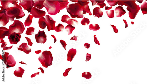 Falling Red Rose Petals Vector, Scattered Rose Petals, Ink Petals Falling, Romantic Floral Petals, Rose Blossom Petals, Isolated Petals Background, Love Symbol Petals
