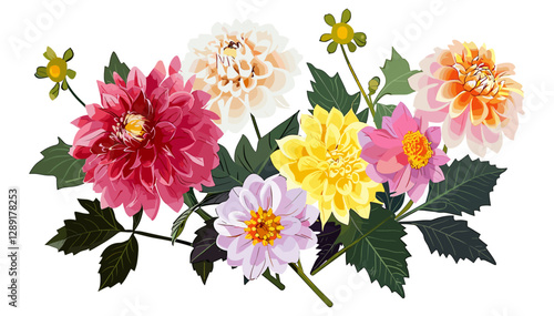 Vector bouquet made with Dahlias, floral arrangement, elegant blossoms, botanical illustration, hand-drawn flowers, blooming petals, nature-inspired composition