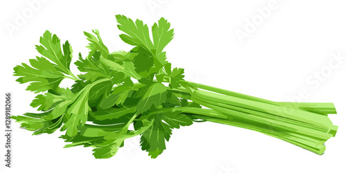 Vector celery pile, fresh green celery isolated on white background, organic farm vegetable, healthy eating, raw food ingredient, natural celery stalks, crisp greens