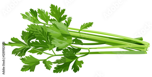 Fresh green celery vector, celery pile isolated on white background, organic vegetable, healthy food, raw celery stalks, fresh farm produce, natural diet ingredient