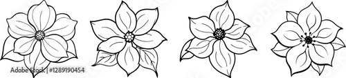 Set of Line art of dogwood flower vector illustration