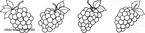 Set of Line art of grapes vector illustration