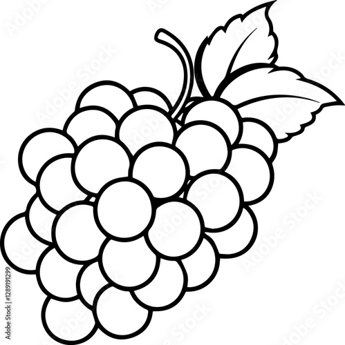 Line art of grapes vector illustration
