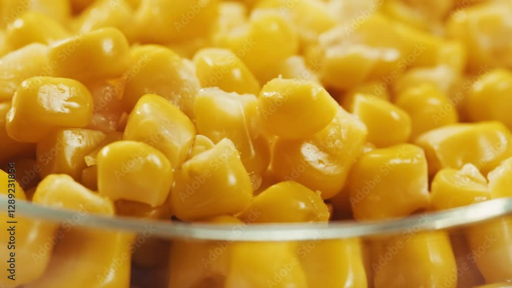 Fresh yellow corn kernels, ideal for cooking meals or enjoying as a tasty snack Fresh yellow corn kernels, ideal for cooking meals or enjoying as a tasty snack