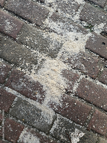 Closeup on rock salt on sidewalk applied to melt ice and snow