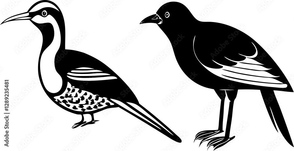 Obraz premium bird illustration bird silhouette