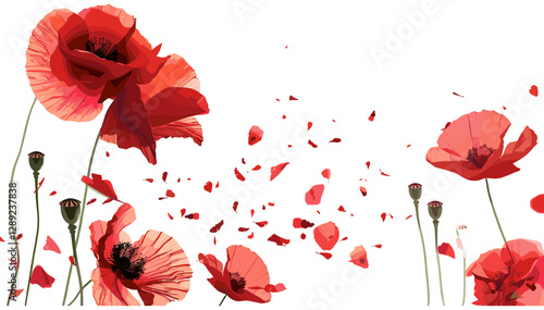 Vector Red Poppies with Flying Petals, Blooming Flowers, Floral Aesthetic, Spring Blossom, Artistic Nature, Abstract Poppy Design, Flower Illustration, Windy Floral Scene