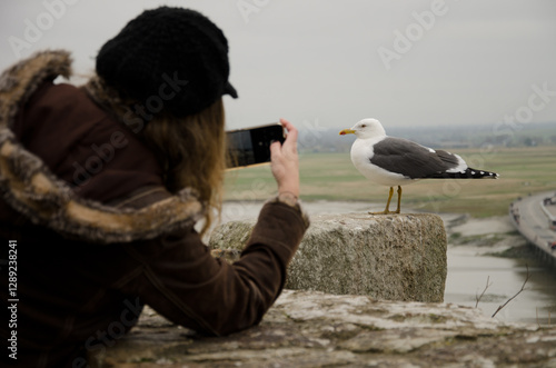Fotografija Woman photographing a lesser black-backed gull Larus fuscus graellsii with her cell phone