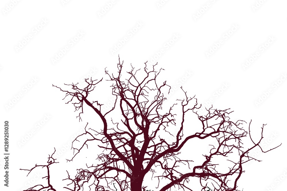 Dead tree trunk and branches against a clear blue sky Dead tree trunk and branches against a clear blue sky