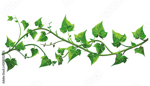 Twisting Vine with Green Leaves Vector, Botanical Artwork, Lush Foliage, Elegant Nature, Climbing Plant, Decorative Vine, Ivy Tendrils, Flourishing Branch, Leafy Ornament, Tropical Style