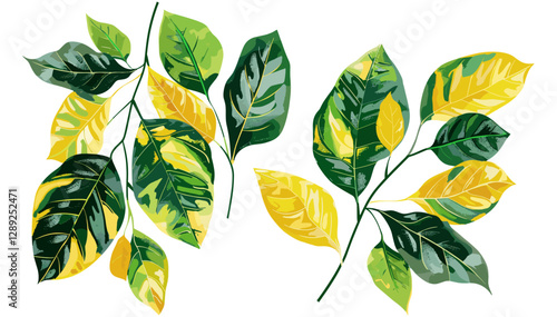 Variegated Green and Yellow Leaves Vector, Tropical, Nature, Botanical, Decorative, Foliage, Background, Eco, Abstract, Flora, Exotic, Fresh, Spring, Summer, Jungle, Pattern