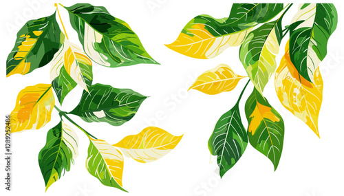 Vector Green and Yellow Variegated Leaves, Foliage, Nature, Botanical, Tropical, Exotic, Decorative, Pattern, Design, Background, Eco, Fresh, Natural, Spring, Summer, Flora