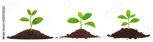 vector sprout growing young plant from soil isolated on white background, fresh green plant, organic growth, isolated on transparent PNG, nature sprout, green plant sprouting