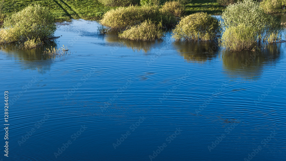 A beautiful scenery showcasing shrubs reflected in calm blue water A beautiful scenery showcasing shrubs reflected in calm blue water