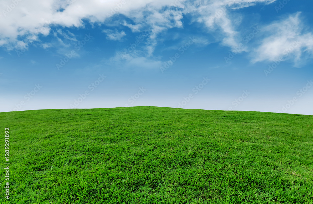 Landscape green grassland on blue sky and clouds panoramic background, outdoor atmosphere, refreshing and relaxing feeling. Landscape green grassland on blue sky and clouds panoramic background, outdoor atmosphere, refreshing and relaxing feeling.