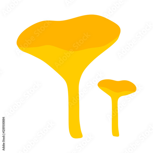 chanterelle mushrooms vector illustration