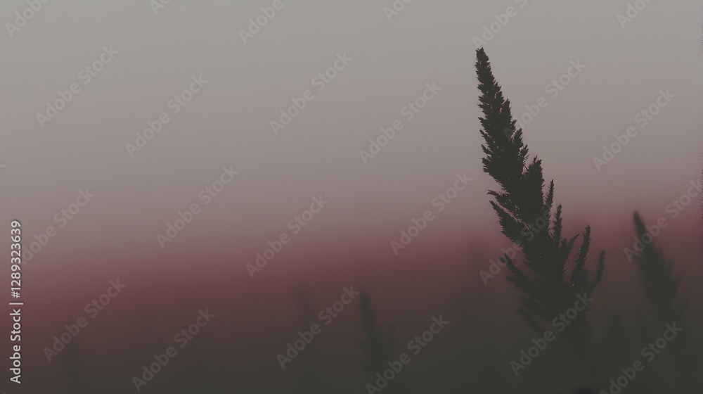 Obraz premium Silhouetted grass at sunset, misty field background, peaceful nature scene, website header
