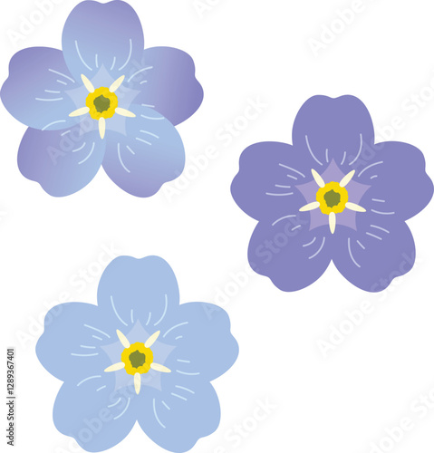 illustration of forget me not flowers