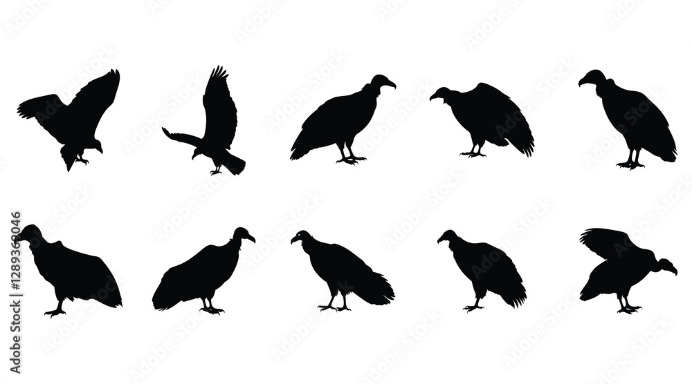 Fototapeta premium Vulture Silhouette Vector Set - Bird of Prey Clipart for Wildlife Designs
