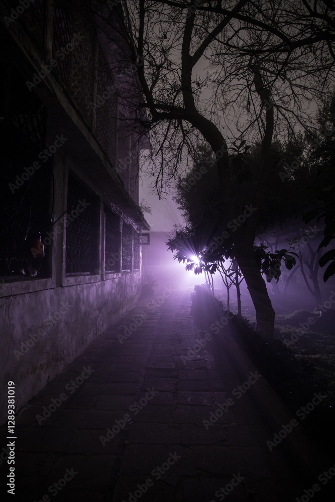 Obraz premium Mysterious pathway. Footpath in the dark, foggy, autumnal, mysterious forest.