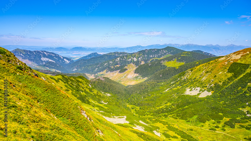 Fototapeta premium A stunning panorama of the Low Tatras National Park showcases lush green hills and distant mountains under a clear blue sky, inviting exploration and appreciation of Slovakia's natural beauty.