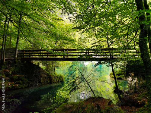 pont sur un lac