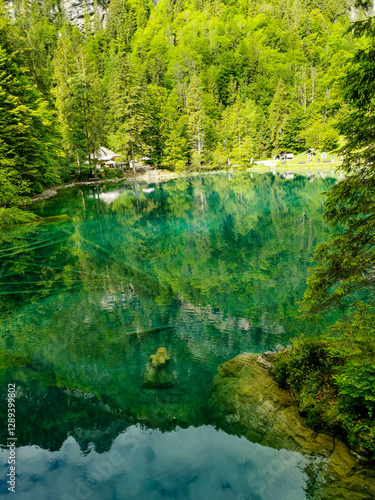 lac avec reflets des arbres