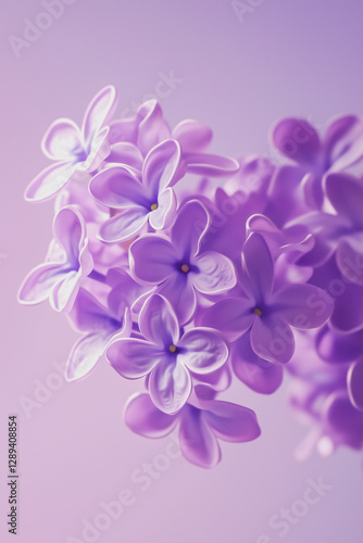 Wallpaper Mural Minimalistic abstract lilac flowers Torontodigital.ca