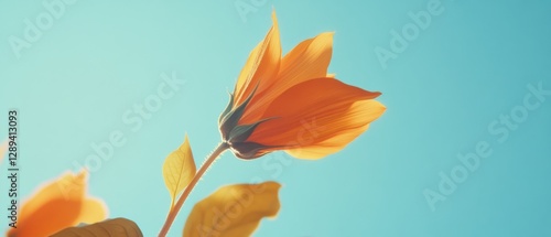 A vibrant orange flower blooms against a clear blue sky, capturing the essence of summer's warmth and delicate beauty.