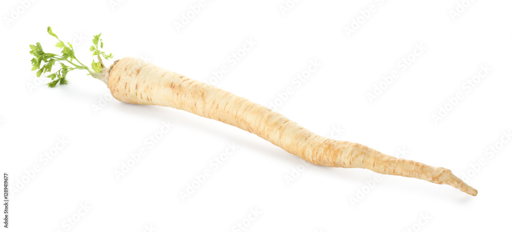 One fresh parsley root isolated on white One fresh parsley root isolated on white