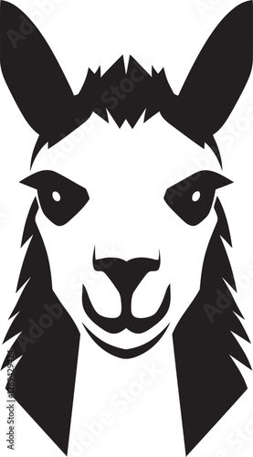 The Great Llama Race A Fun Competition in the Andes