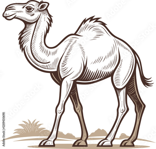 Elegant Line Art Illustration of a Camel in a Desert Landscape