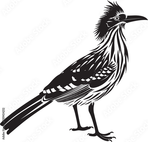 The Roadrunner  Tactics Hunting  Foraging  and Survival Skills