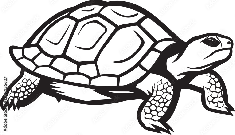 Fototapeta premium Conservation Challenges for Tortoises Protecting the World Most Endangered Species