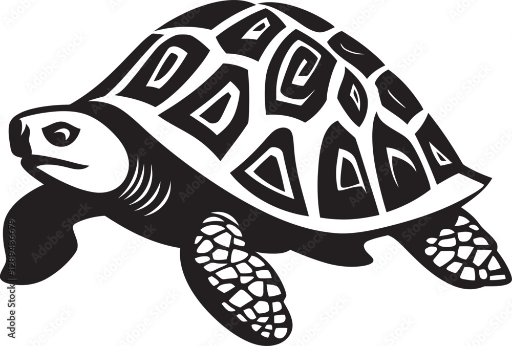 Fototapeta premium The Longevity of Tortoises Exploring the Secrets Behind Their Remarkable Lifespans
