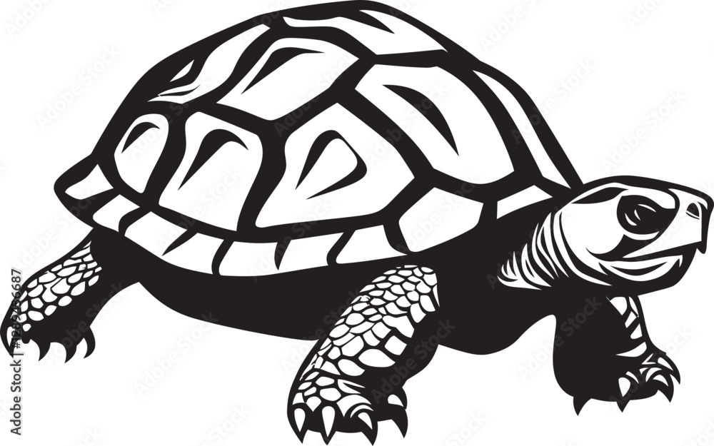 Fototapeta premium The Behavioral Ecology of Tortoises How They Interact with Their Environment