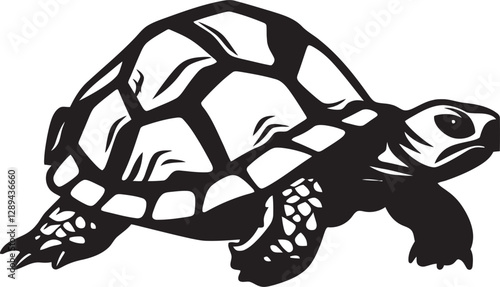 The Tortoise and the Hare Exploring the Cultural Significance of Tortoises in Folklore