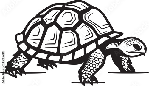 The Mysteries of Tortoise Migration Understanding Their Movements and Migration Patterns