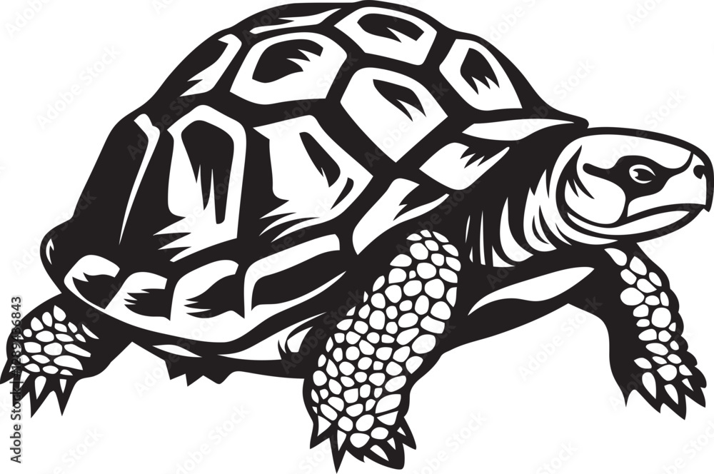 Fototapeta premium Tortoise Photography Capturing the Beauty and Grace of These Ancient Reptiles