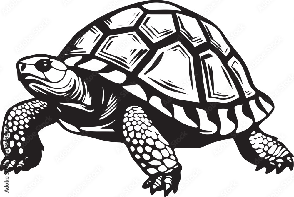 Fototapeta premium The Interconnectedness of Tortoise Species Exploring Their Relationships Within Ecosystems